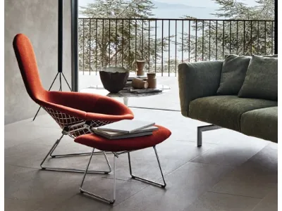 Poltroncina Bertoia Bird Chair di Knoll