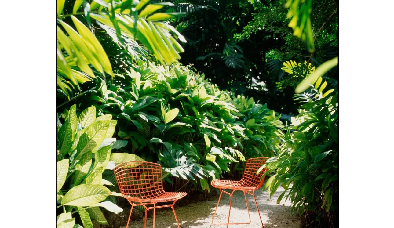 Sedia Bertoia Side Chair Outdoor di Knoll